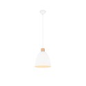Nowoczesna lampa wisząca RL JAGGER R30681031