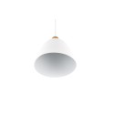 Nowoczesna lampa wisząca RL JAGGER R30681031