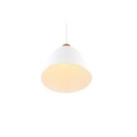 Nowoczesna lampa wisząca RL JAGGER R30681031