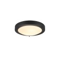 Lampa łazienkowa Trio CONDUS 6801011-32