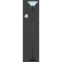Lampa podłogowa Trio RUSTICA 4602021-24