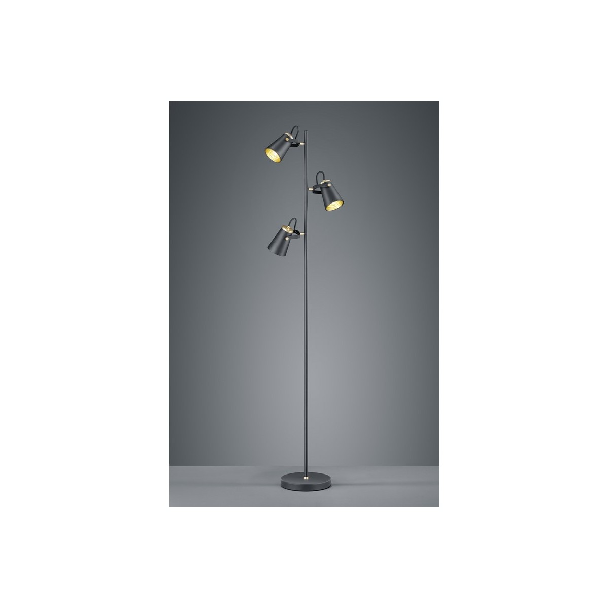 Lampa podłogowa Trio EDWARD 408800332