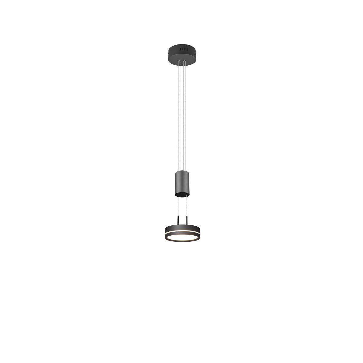 Trio FRANKLIN 326510142 -1xLED