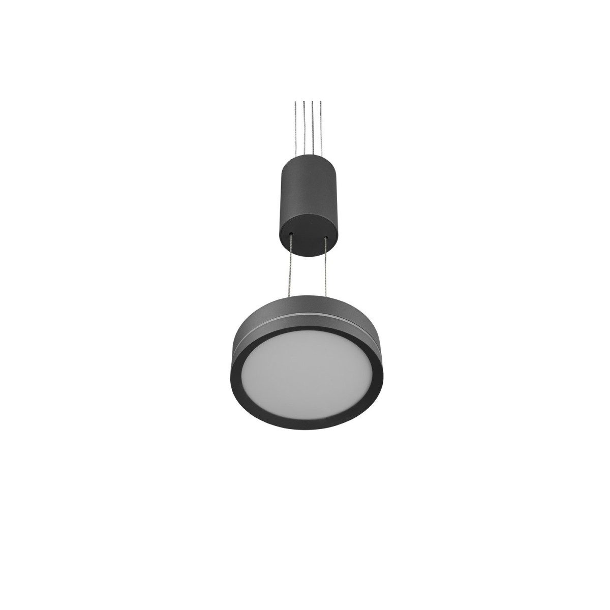 Trio FRANKLIN 326510142 -1xLED