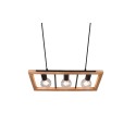 Nowoczesna lampa wisząca Trio AGRA 313800332
