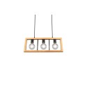 Nowoczesna lampa wisząca Trio AGRA 313800332