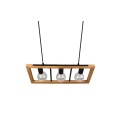 Nowoczesna lampa wisząca Trio AGRA 313800332