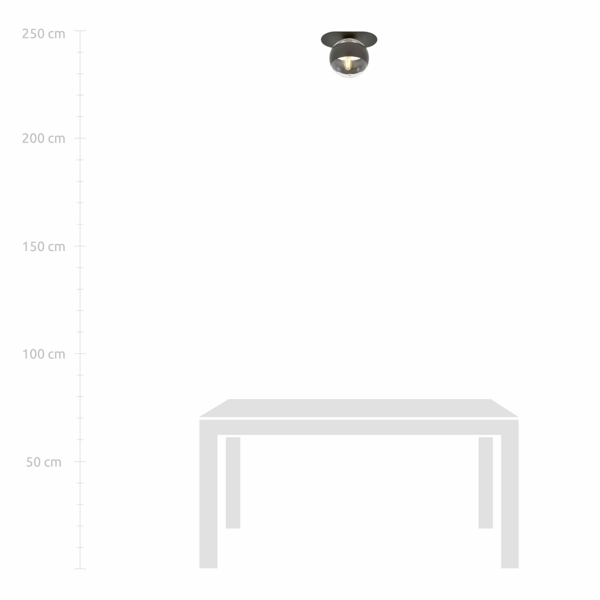 transparenta z czarnym paskiem LAMPA SUFITOWA  PLAZA 1 BLACK/STRIPE