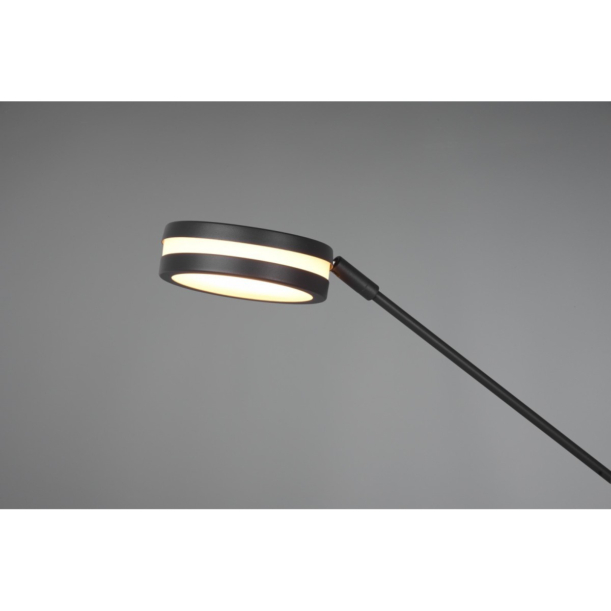 Lampa podłogowa Trio FRANKLIN 426510242