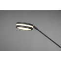 Lampa podłogowa Trio FRANKLIN 426510242