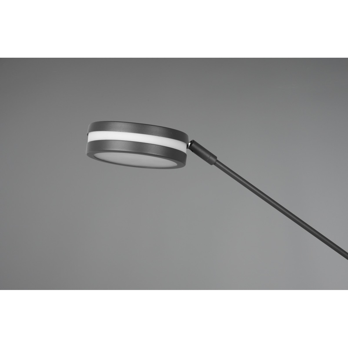 Lampa podłogowa Trio FRANKLIN 426510242