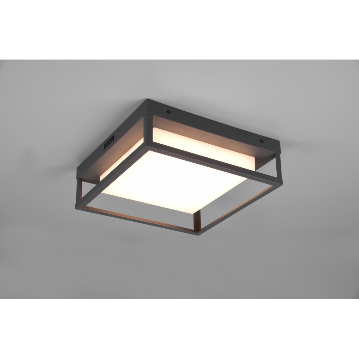 Lampa ogrodowa Trio WITHAM 677860142