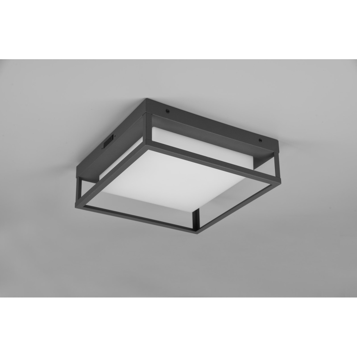 Lampa ogrodowa Trio WITHAM 677860142