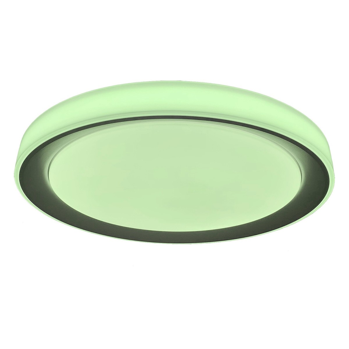 Rabalux Everest 3510 - typ - Inteligentne oświetlenie