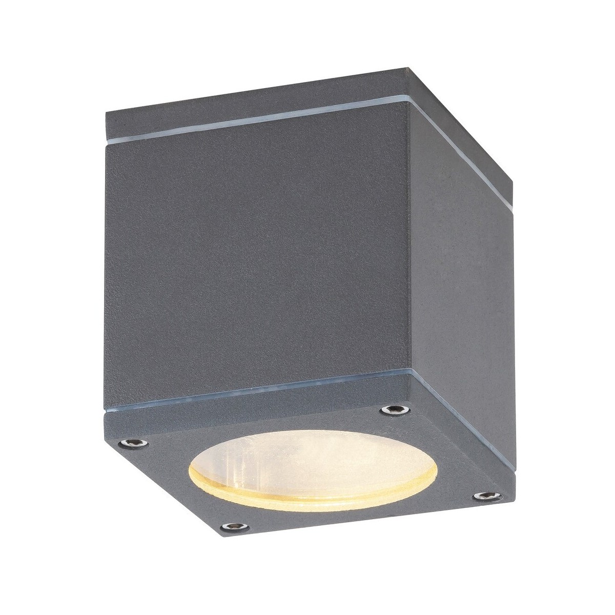 Rabalux Akron 8149 - typ - Zewnętrzne lampy sufitowe