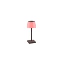 Nowoczesna lampa ogrodowa RL SANCHEZ R54126142