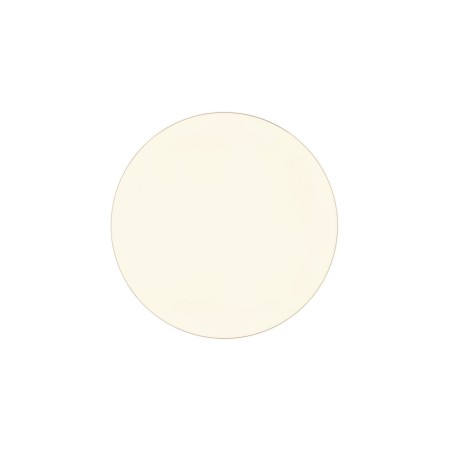 Nowoczesna lampa sufitowa RL BLANCA R64141101