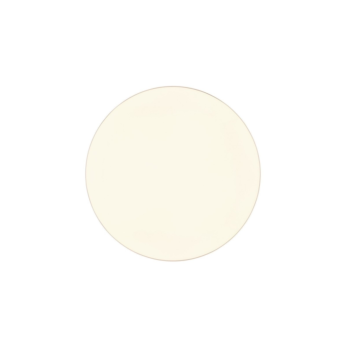 Nowoczesna lampa sufitowa RL BLANCA R64141101