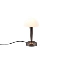Piękna lampka nocna - biurkowa RL CANARIA R59561120