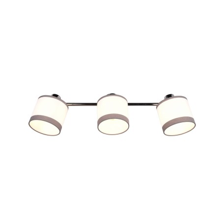 Nowoczesna lampa sufitowa RL DAVOS R81553006