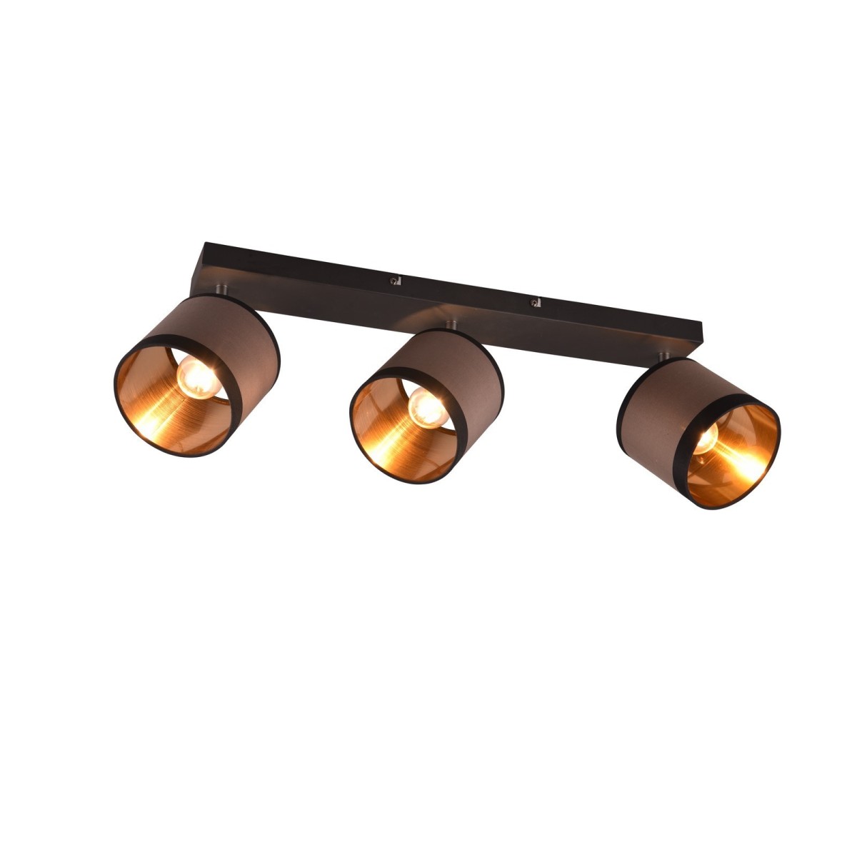 Nowoczesna lampa sufitowa RL DAVOS R81553041