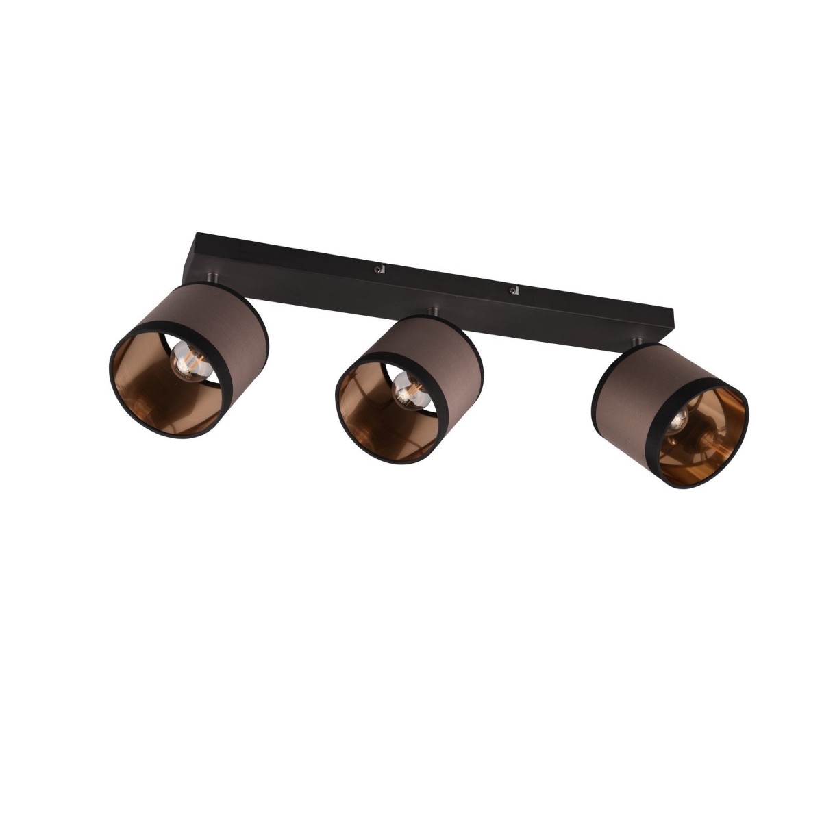 Nowoczesna lampa sufitowa RL DAVOS R81553041