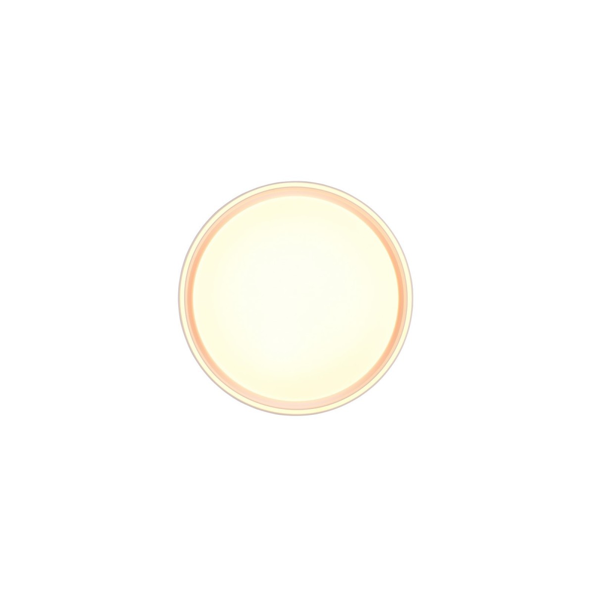 Nowoczesna lampa sufitowa RL FELIS R64391031