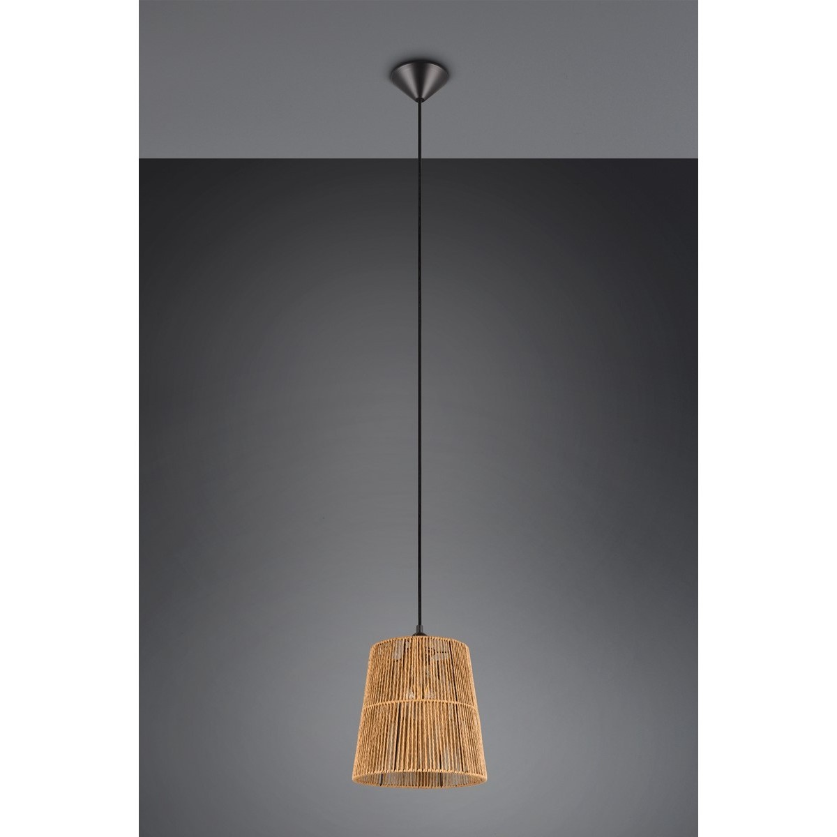 Nowoczesna lampa wisząca RL HOLM R31041026