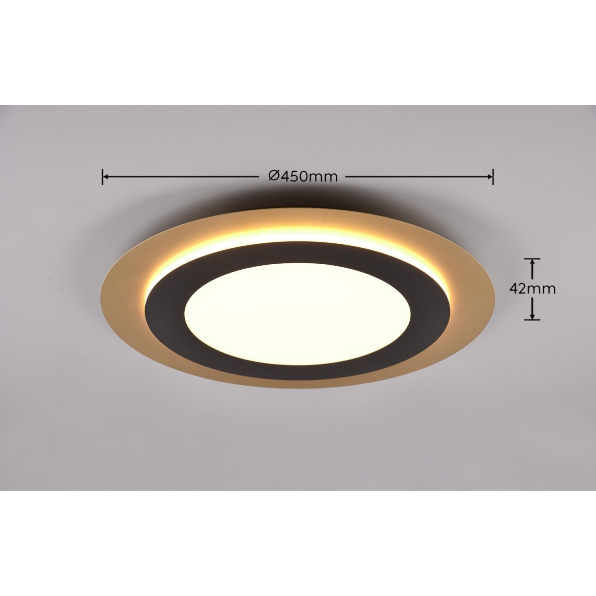 Nowoczesne oświetlenie sufitowe Trio MORGAN 641519280