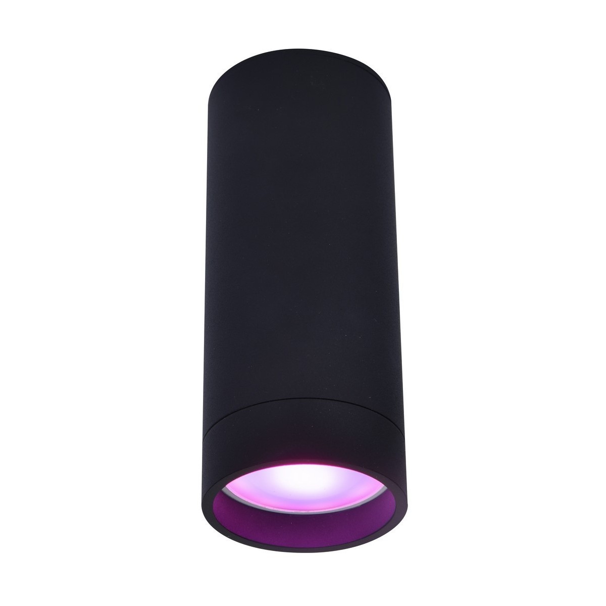 LUT STAG Nowoczesny sufitowy spot GU10 LUTEC connect