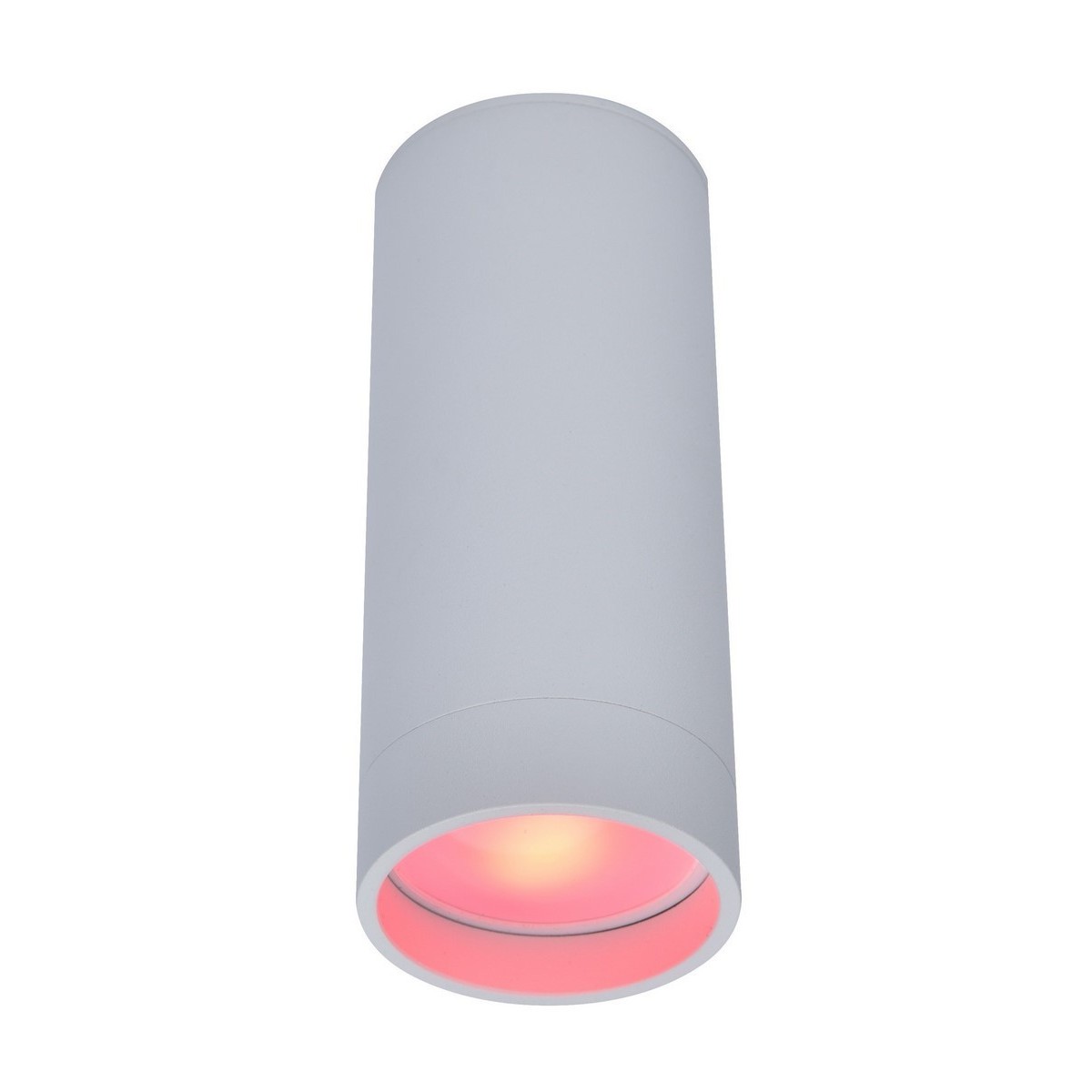 LUT STAG Nowoczesny sufitowy spot GU10 LUTEC connect