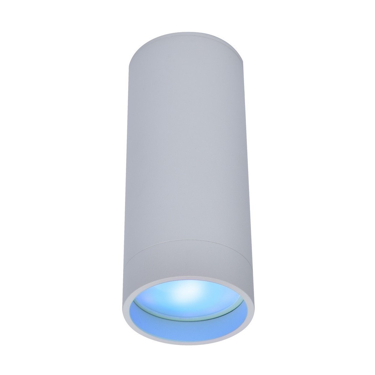 LUT STAG Nowoczesny sufitowy spot GU10 LUTEC connect