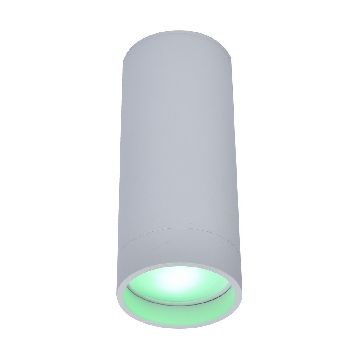 LUT STAG Nowoczesny sufitowy spot GU10 LUTEC connect