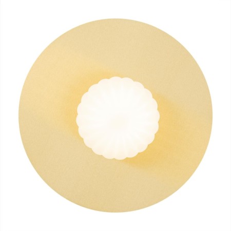 kinkiet / plafon 1 pł. PALOMA kolor opal mat (ryflowany), mosiądz szczotkowany polskiej manufaktury Argon