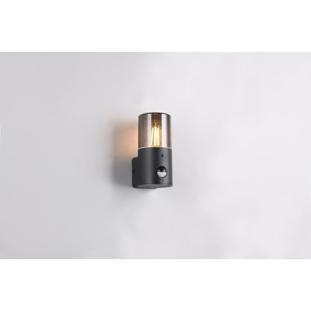 Kinkiet ogrodowy Trio HOOSIC - CZUJNIK RUCHU 222260132