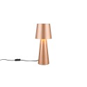 Lampa biurkowa - nocna Trio NUBIAN 562900165