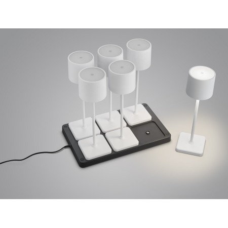 Nowoczesna lampa ogrodowa RL FERNANDEZ R54096631