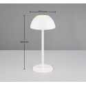 Nowoczesna lampa ogrodowa RL RICARDO R54106131