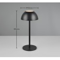 Nowoczesna lampa ogrodowa RL RICARDO R54106132