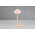 Nowoczesna lampa ogrodowa RL RICARDO R54106166