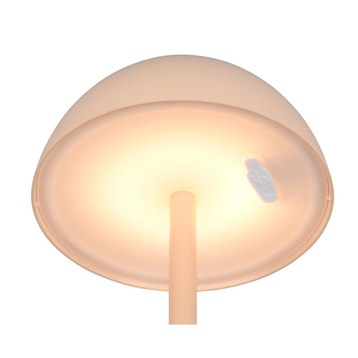 Nowoczesna lampa ogrodowa RL RICARDO R54106166