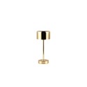 Piękna lampka nocna - biurkowa RL JEFF R59151103