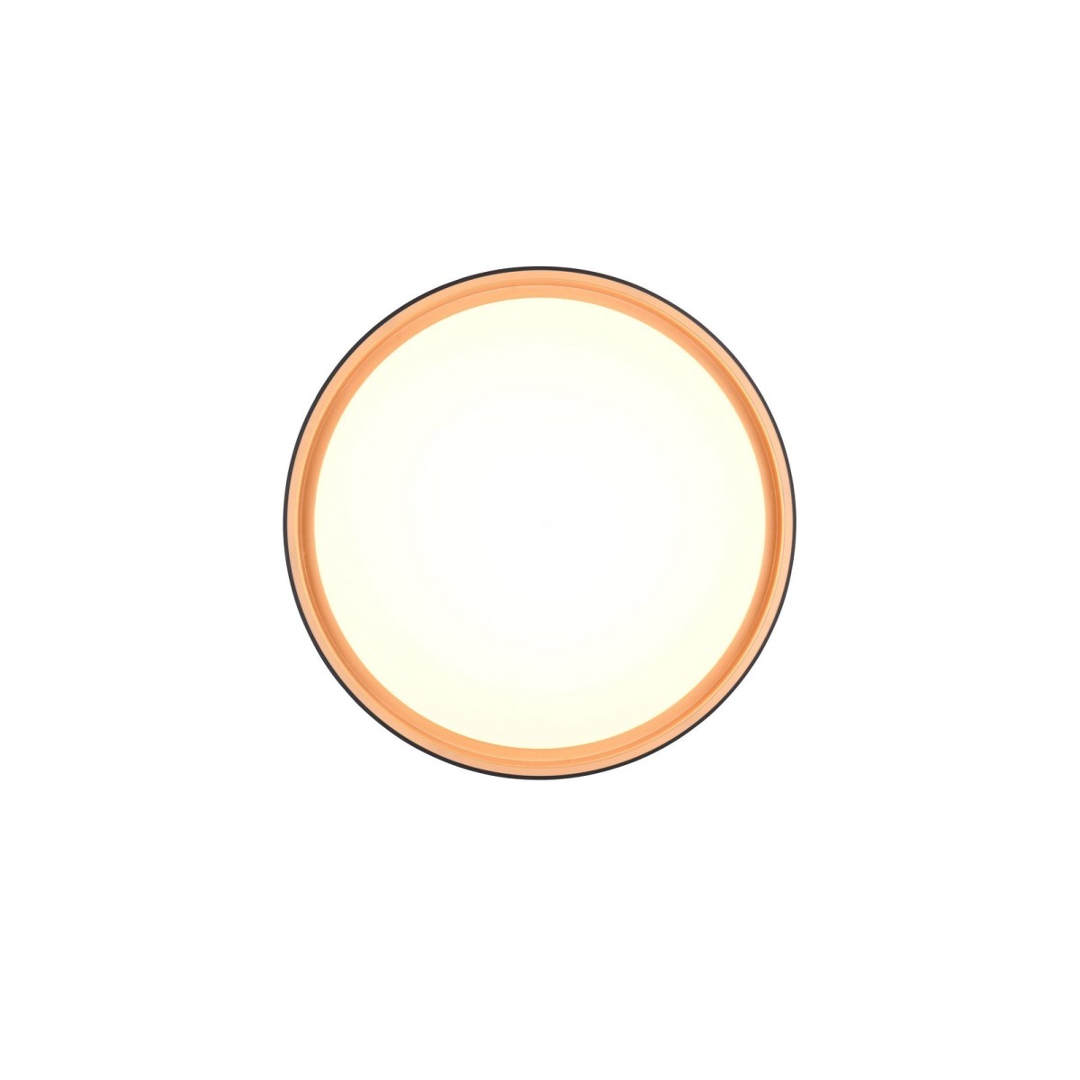 Nowoczesna lampa sufitowa RL FELIS R64391080