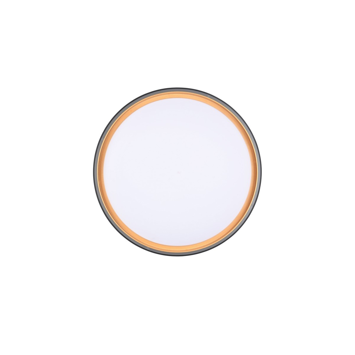 Nowoczesna lampa sufitowa RL FELIS R64391080