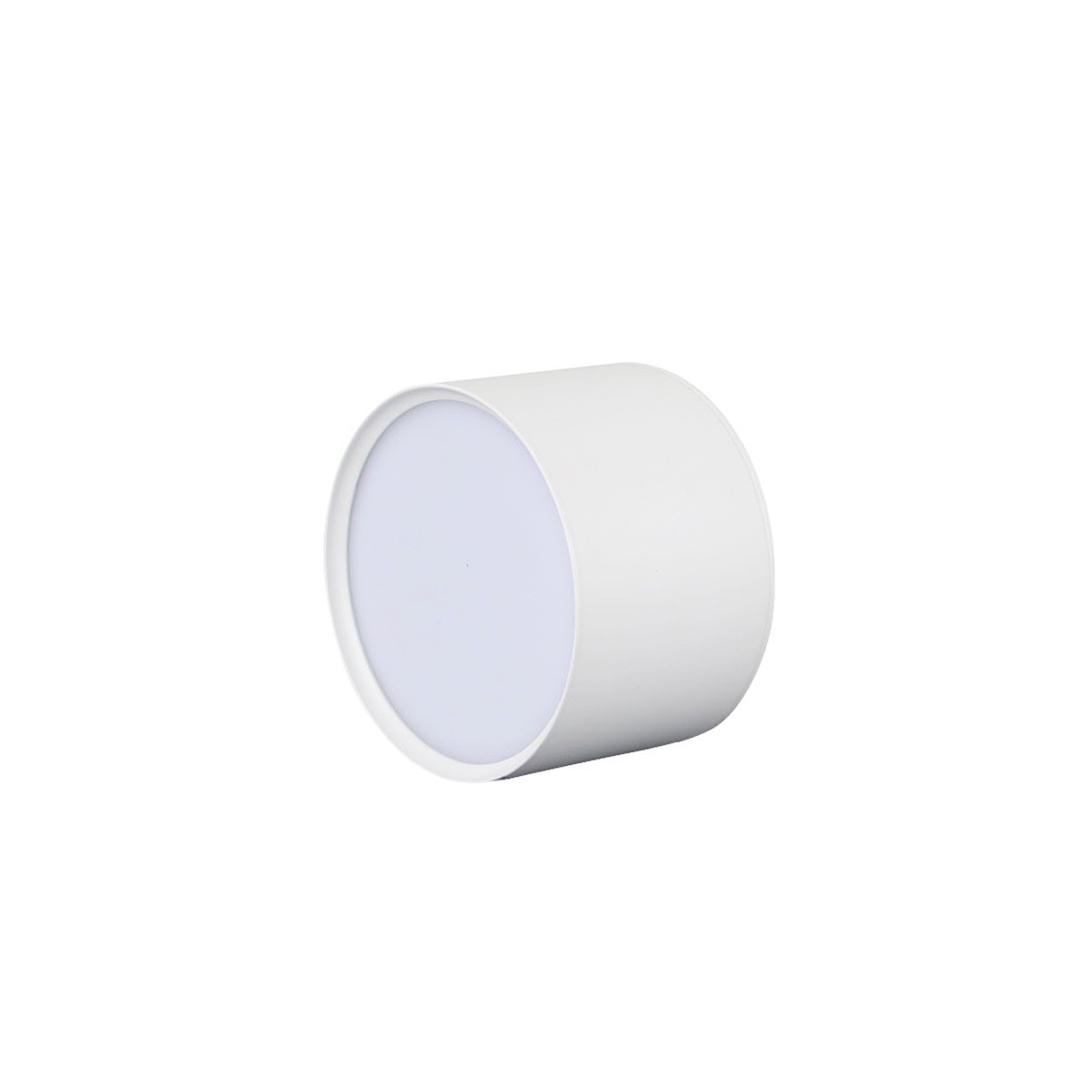 Light Prestige Kendal LED oprawa natynkowa biała LP-6331/1SM WH