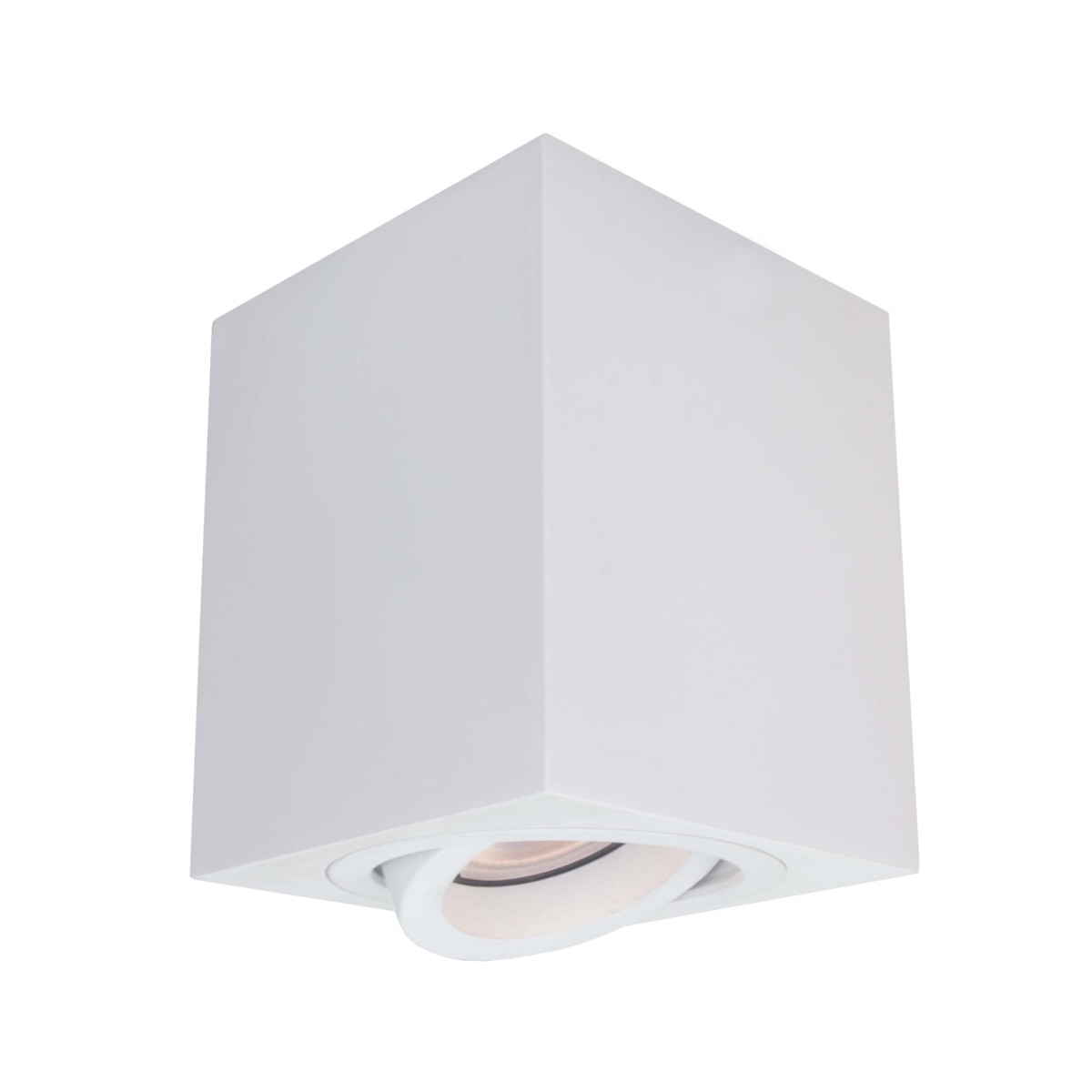 Light Prestige Lyon 1 oprawa natynkowa biała LP-5881/1SM WH