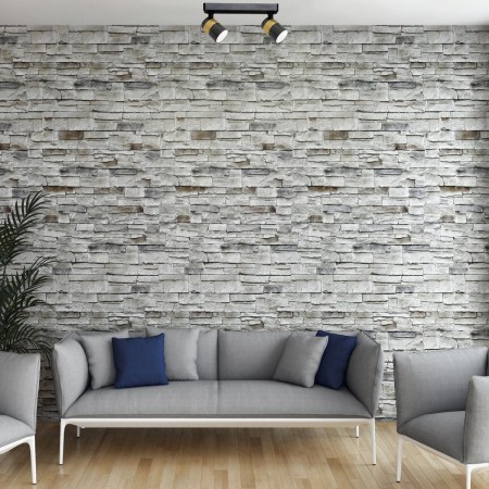 Light Prestige Anillo 2 spot czarny LP-770/2W BK