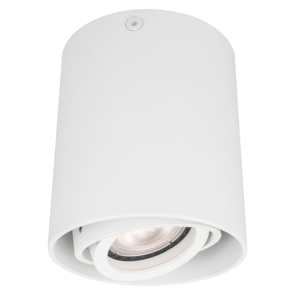 Light Prestige Braga oprawa natynkowa  ruchoma biała LP-5640/1SM WH