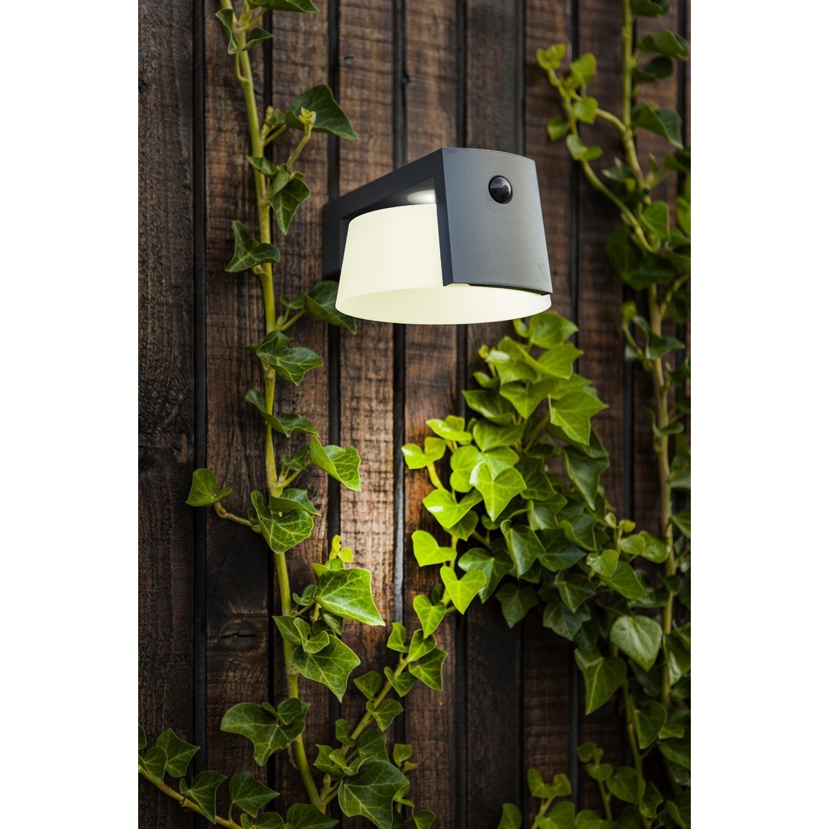 lampa ogrodowa LUTEC6906001118
