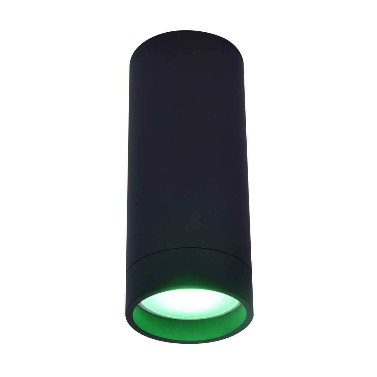 LUT STAG Nowoczesny sufitowy spot GU10 LUTEC connect